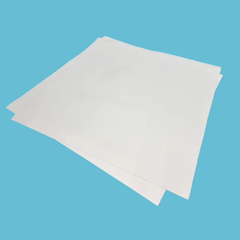 Foaie PTFE extinsă